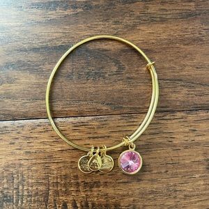 Alex & Ani charm bangle
